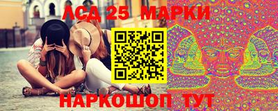 spice Гатчина