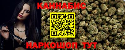 индика Гай