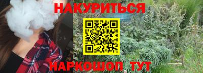 индика Гай