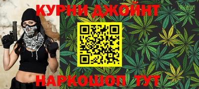 spice Гатчина