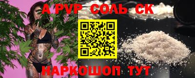 индика Гай