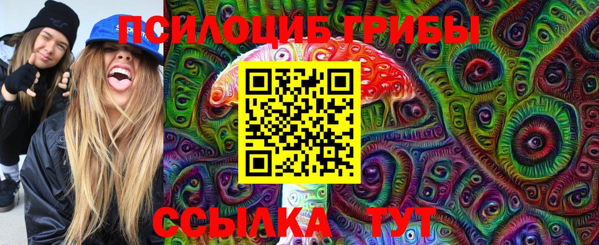Димитровград  Псилоцибиновые грибы Cubensis  Псилоцибиновые грибы Psilocybe  Вход с VPN 
